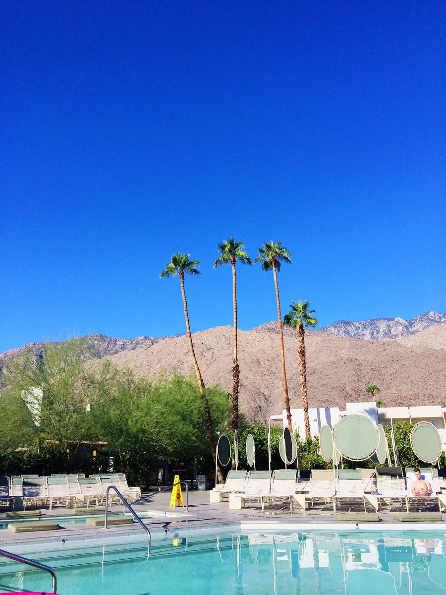 This pool <a href="/acehotel/">Ace Hotel</a> in #PalmSprings - #girlboss designers - November 2-4, 2016 - DesignerVACA.com for 411!🎉🎈💥