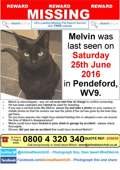 AnimalSearchUK's tweet photo. PLZ RT @CPWolverhampton #missingcat #pendeford #wolverhampton #WV9 #findmelvin
https://t.co/45bJmElbrD https://t.co/lCsl4xNjGH