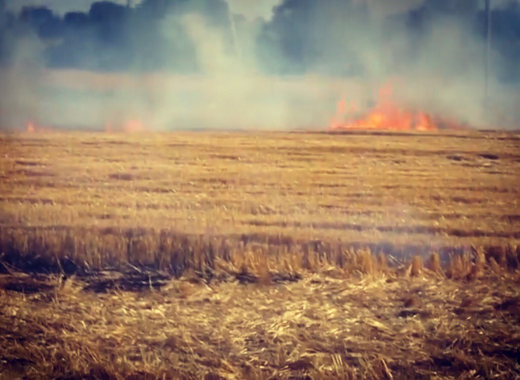 Bearded Servant tweet media