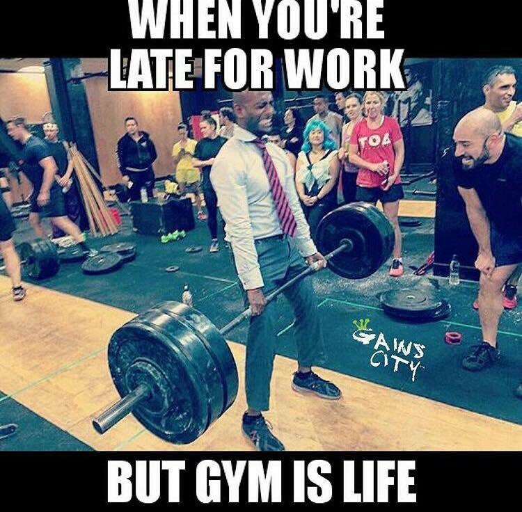 FitFam_Nation's tweet photo. https://t.co/XOiQdwFTTu