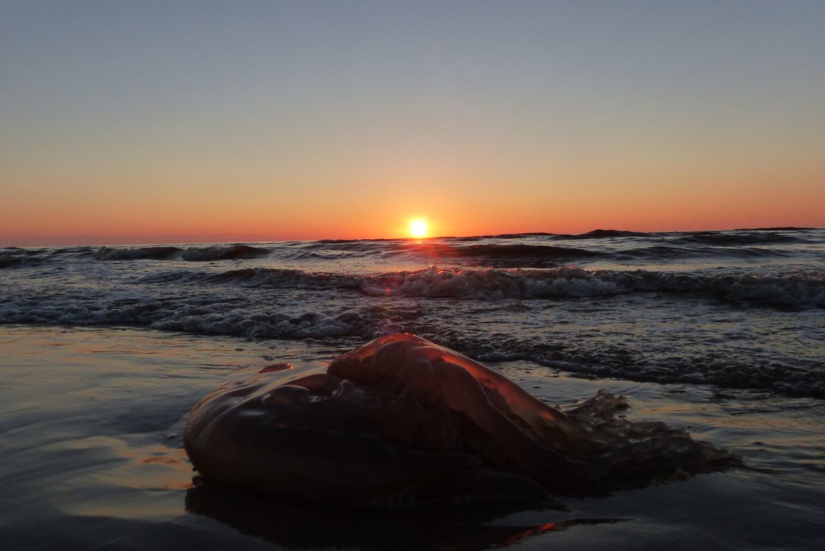 Ssunshot's tweet photo. #Terschelling #Zonsondergang #Grotekwal #Juni2016
@RTLnieuws @Helgavanleur @Mooieluchten @Mooielucht @WNLVandaag https://t.co/jPPXR1BPAI