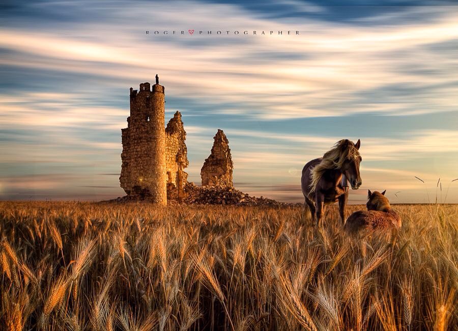 ramblingsloa's tweet photo. We do not heal the past by dwelling there;
We heal the past by living fully in the present.

M Williamson
Pic Roger https://t.co/Ba2mL1yHz1