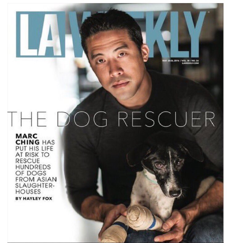 Hopeesperanz's tweet image. #MarcChing ➡️ @AHWFoundation Shows us the way🙏🏻 he saved over 1000 in #yulin and #Asia.Join us to #StopDogMeat 4ever