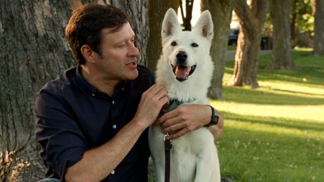 refugeanimal's tweet photo. La saison 1 d'Animal Cherche Compagnie est en rediffusion sur @TVAreseau tous les mardis à 19h30! cc @fallusinant https://t.co/WMA7SK2v19