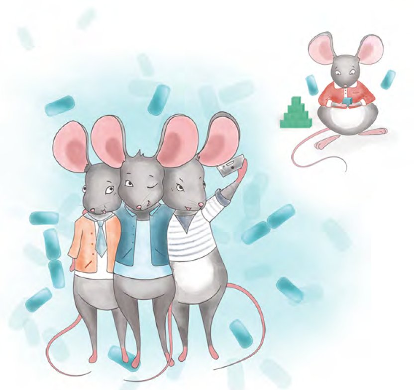 CellCellPress's tweet photo. The #microbiome can affect #social behaviors in mice-via a single bacterial strain: https://t.co/4Wokelesmq https://t.co/fMYiZSA5Ys
