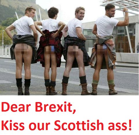 ELFSTUDENT's tweet image. Scotland voted remain and the way they stick it to Brexit is hilarious!!