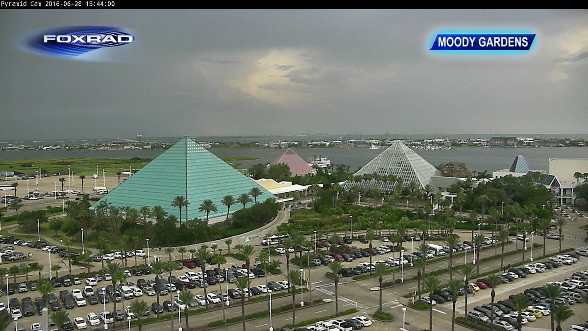 JohnDawsonFox26's tweet photo. Inland storms seen in the background of the Moody Gardens cam. Some are severe storms. Be safe!
@FOX26Houston https://t.co/UDozogpfJ4