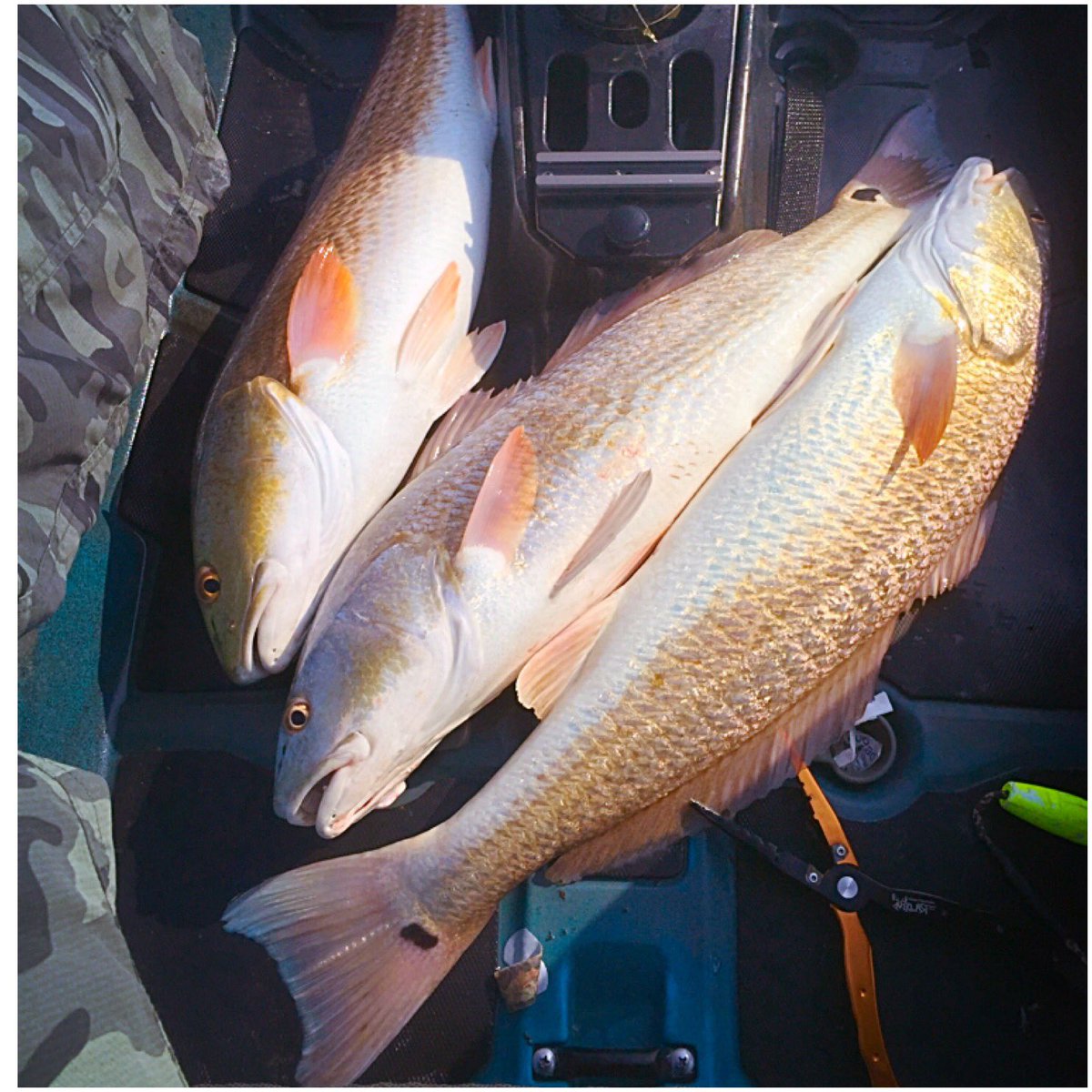 CoachRice5's tweet photo. No need to paddle when you get hitched up to a few of these! #wildyfishing #ftu #bomberlures #marshdonkey https://t.co/5ZdxRRqtGj