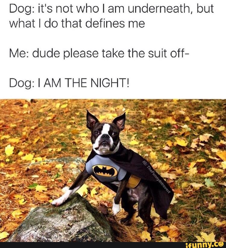 Superproblemz's tweet image. #MyOneWordDistraction puppy