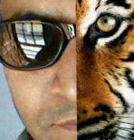 sanjaykotwal121's tweet photo. https://t.co/YOnBTWcmex