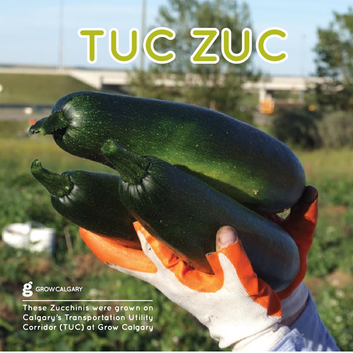 Mow2Grow's tweet photo. Are we Mowers or Growers? #MOW2GROW info https://t.co/mwPhJkxNg7 #yyc #yeg #ableg #yyccc #FoodAccess #UrbanAg #LFS https://t.co/F1oeuT0BPp