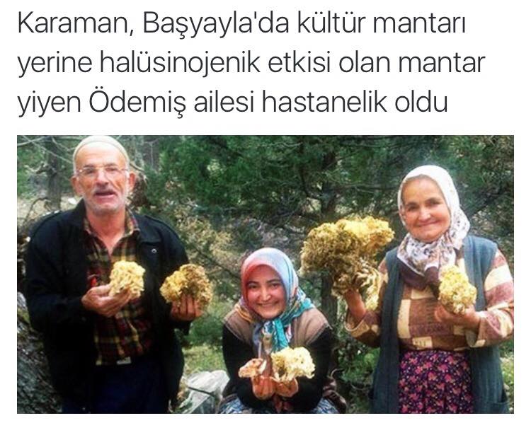 gossipselgibi's tweet photo. ben karıncalarla konuşup gelicem sdflj çok mutlular yalnız https://t.co/YTnPm5ULXD