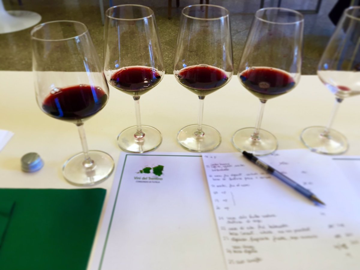 winemood's tweet photo. Non so se è più impegnativo degustare 70 vini rossi per una guida o il compleanno di @valevolto! @8four #sommelier https://t.co/MMmdNTXcCA