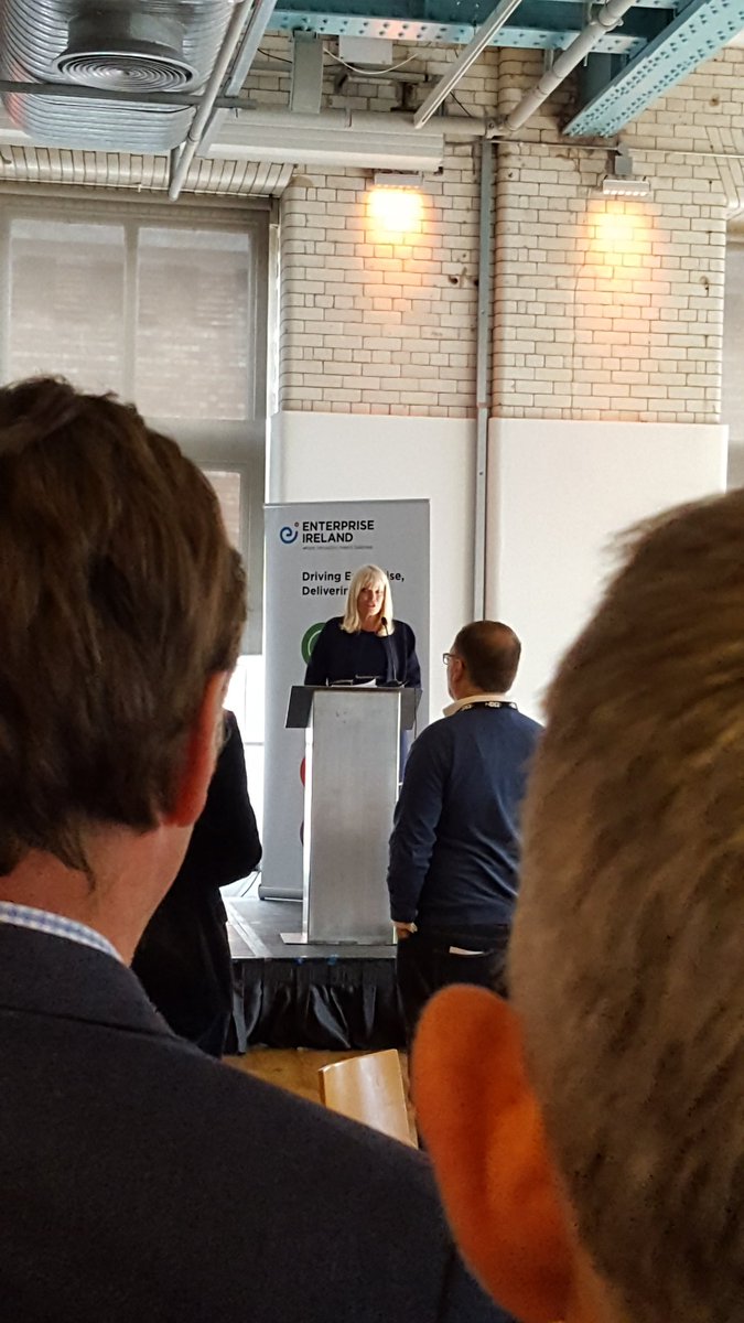 martina_skelly's tweet image. Minister Mary Mitchell O&apos;Connor Assuring audience that Ireland is wedded to the EU. #accessSiliconValley