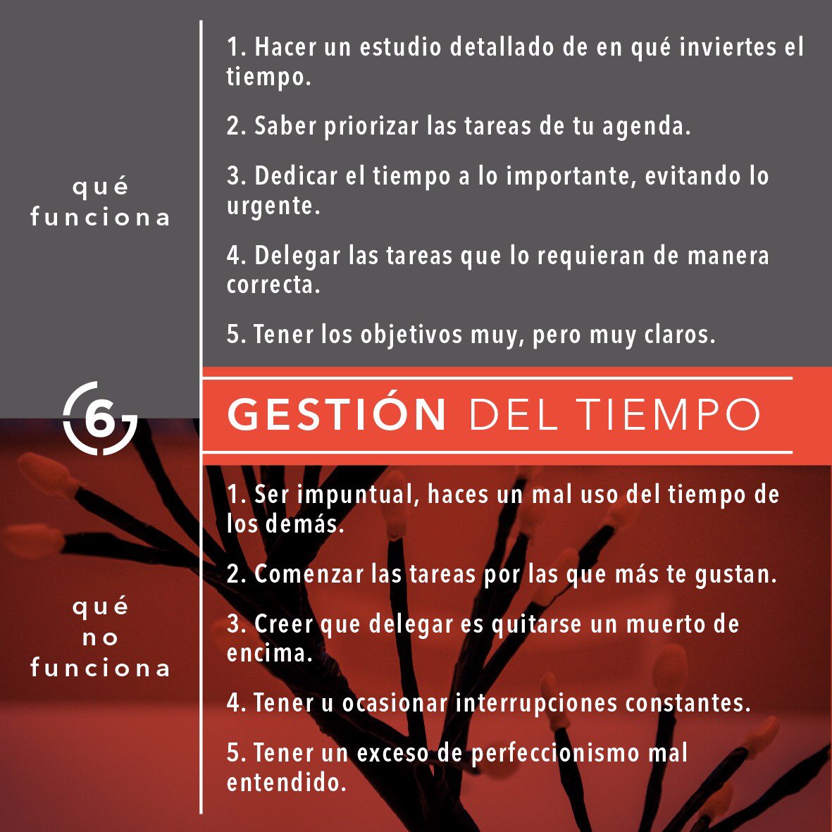 GradosSeis's tweet image. GESTIÓN DEL TIEMPO &amp;gt;&amp;gt;&amp;gt; #SeisGrados #cowork #freelance #work #CoworkPlace #coworking /// seisgrados.com.ar