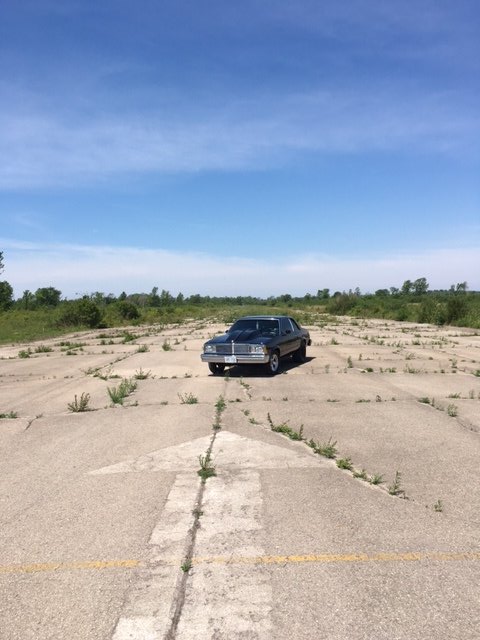EB_White's tweet photo. Found an abandoned airstrip in Fort erie, this should be dragstrip for this town https://t.co/r7CNraxEcW
