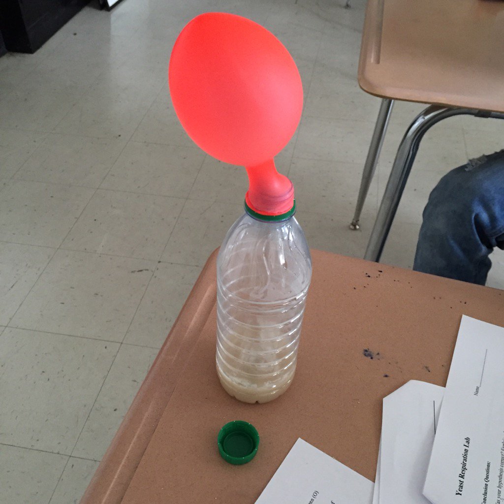 Brandon Christensen tweet media