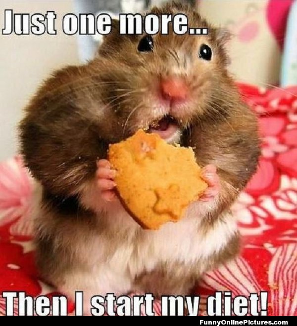 Ya just one more... NO ILL NEVER GO ON DIET!!!!!!