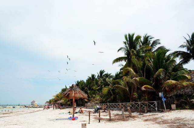 LOAHolbox's tweet photo. Buen martes amigos, disfruta de tu día al máximo! #Holbox #CasaLoa #HotelBoutique #MartesViajero #BuenMartes https://t.co/kd0PvAWyRk
