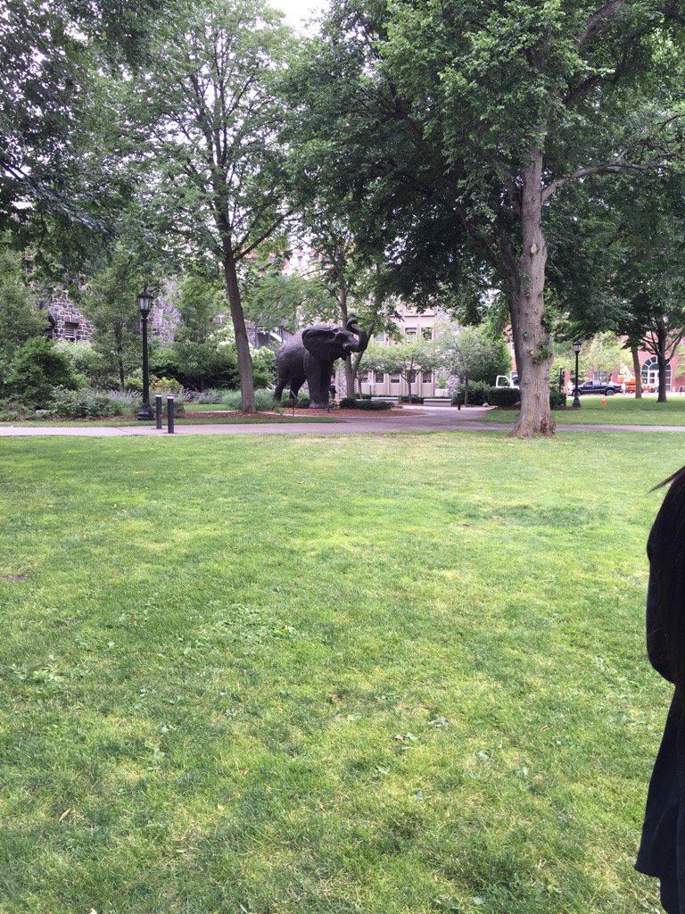 CollegeKnights's tweet photo. Day 2, stop 2 at @TuftsAdmissions #summercollegetour https://t.co/RiyJdaGFHX