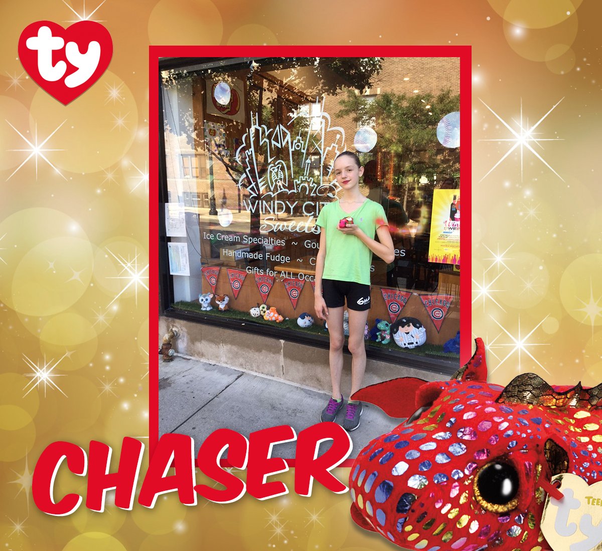 TyInc's tweet image. Chaser FOUND in Chicago!
Two lucky customers reported finding Chaser this week at B Toys Zone and Windy City Treats.