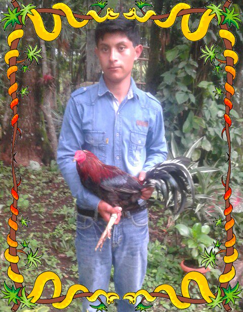 464dmcb tweet picture