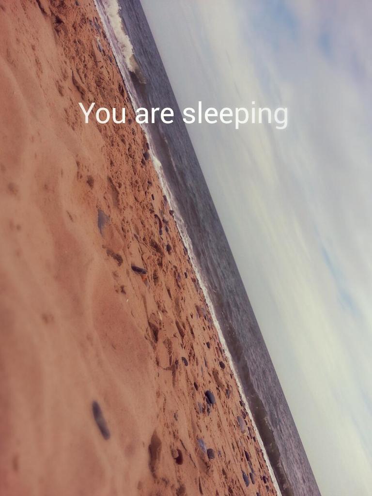 Shadow_frax's tweet image. Respawned on the beach!