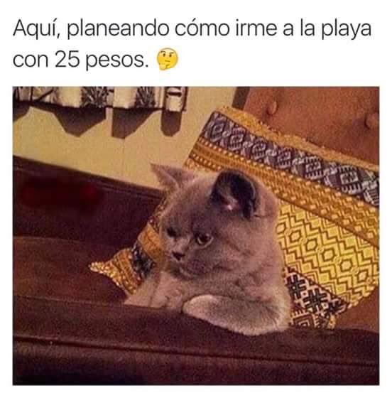 viri_oroh's tweet image. #SegunMisCalculos si me alcanza !!!