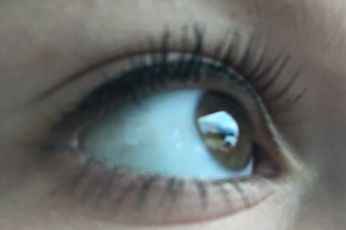 shullbae's tweet image. #swimforsight @swimforsight @JackJ @jackgilinsky