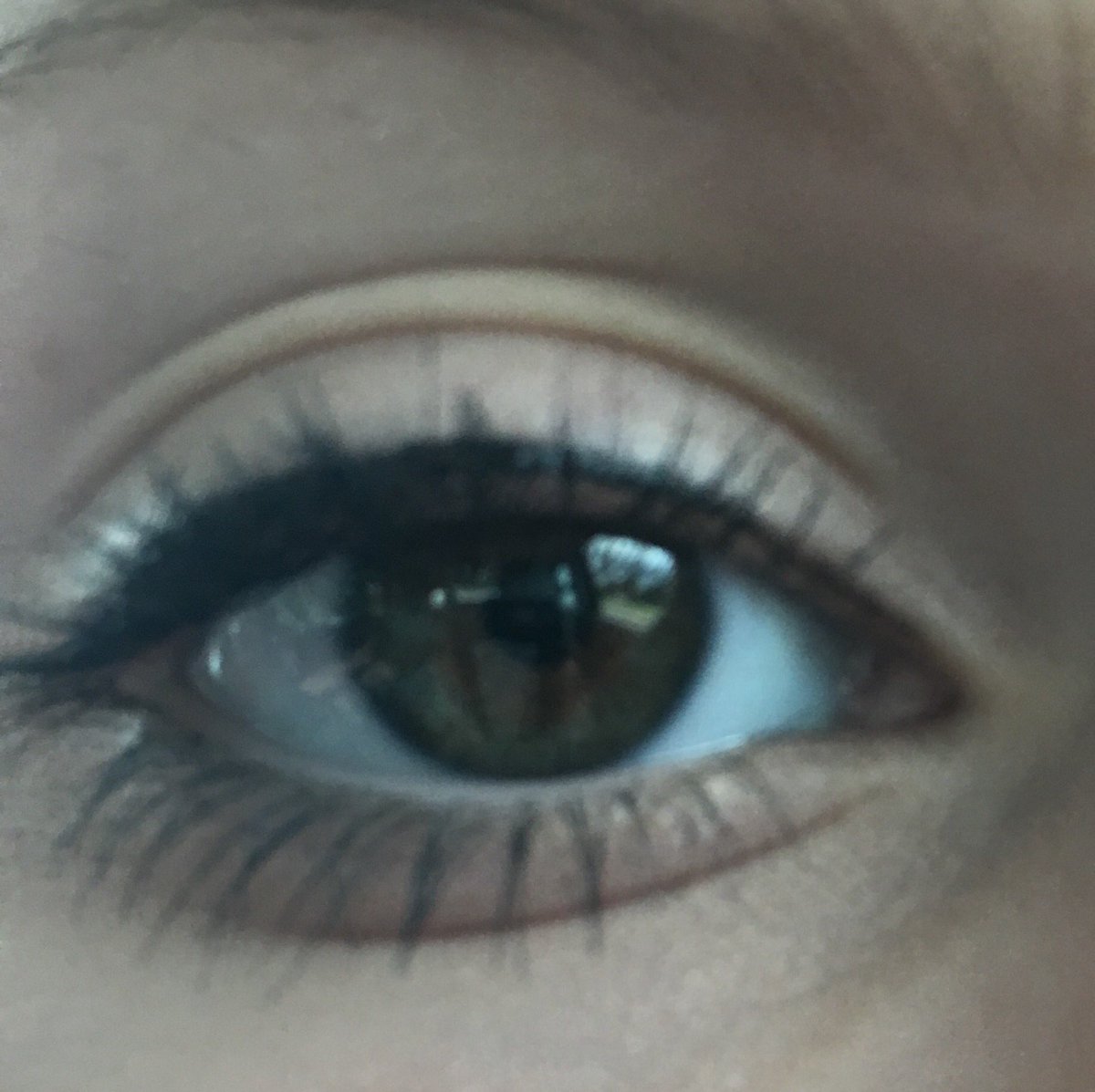 shullbae's tweet image. #swimforsight @swimforsight @JackJ @jackgilinsky