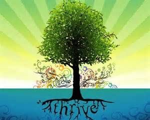 CedarBoutiqueHC's tweet photo. #ThrivingTuesday #SerenityHomeCare #VivaCareCottageMorgan #LovingOurResidents https://t.co/wd8j8DYfAF