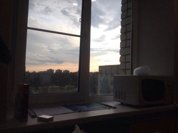 hummingbirds tweet media