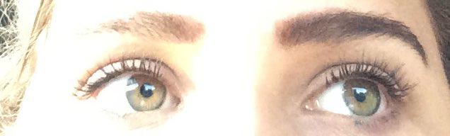 hangouthoodie's tweet image. #swimforsight