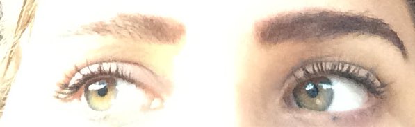 hangouthoodie's tweet image. #swimforsight