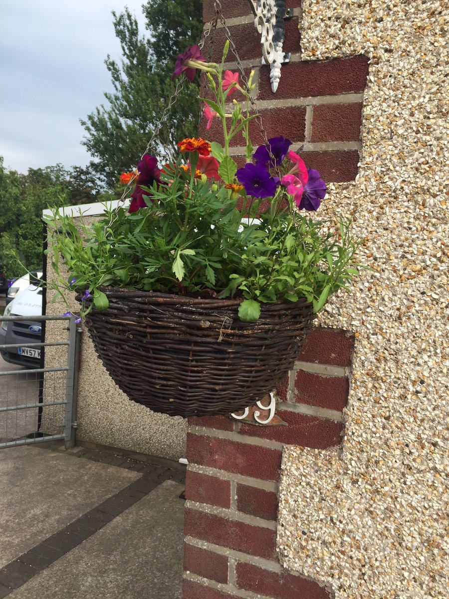 DDPSLTD's tweet photo. Replenishing service #gardening #hangingbaskets #windowboxes https://t.co/zrAo6C1WK5