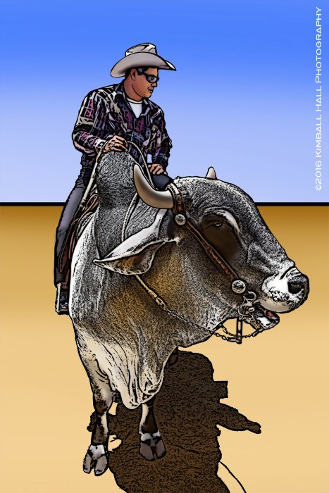 Bull Rider from cigartink.com