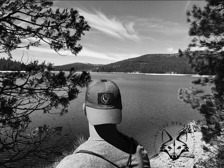 roguedynamics's tweet image. Don’t stop until you’re proud of what you’ve become. #GoRogue #RogueDynamics