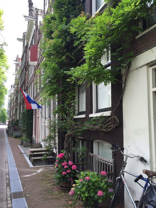 Scenes from Amsterdam- one of my new favorite cities! https://t.co/Cnabierdca<a href="/tag/sthelena"class="tags"><span>#sthelena</span></a>