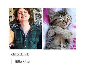 LucasVJans's tweet photo. i said that im kitten https://t.co/DKcjfLNFxV