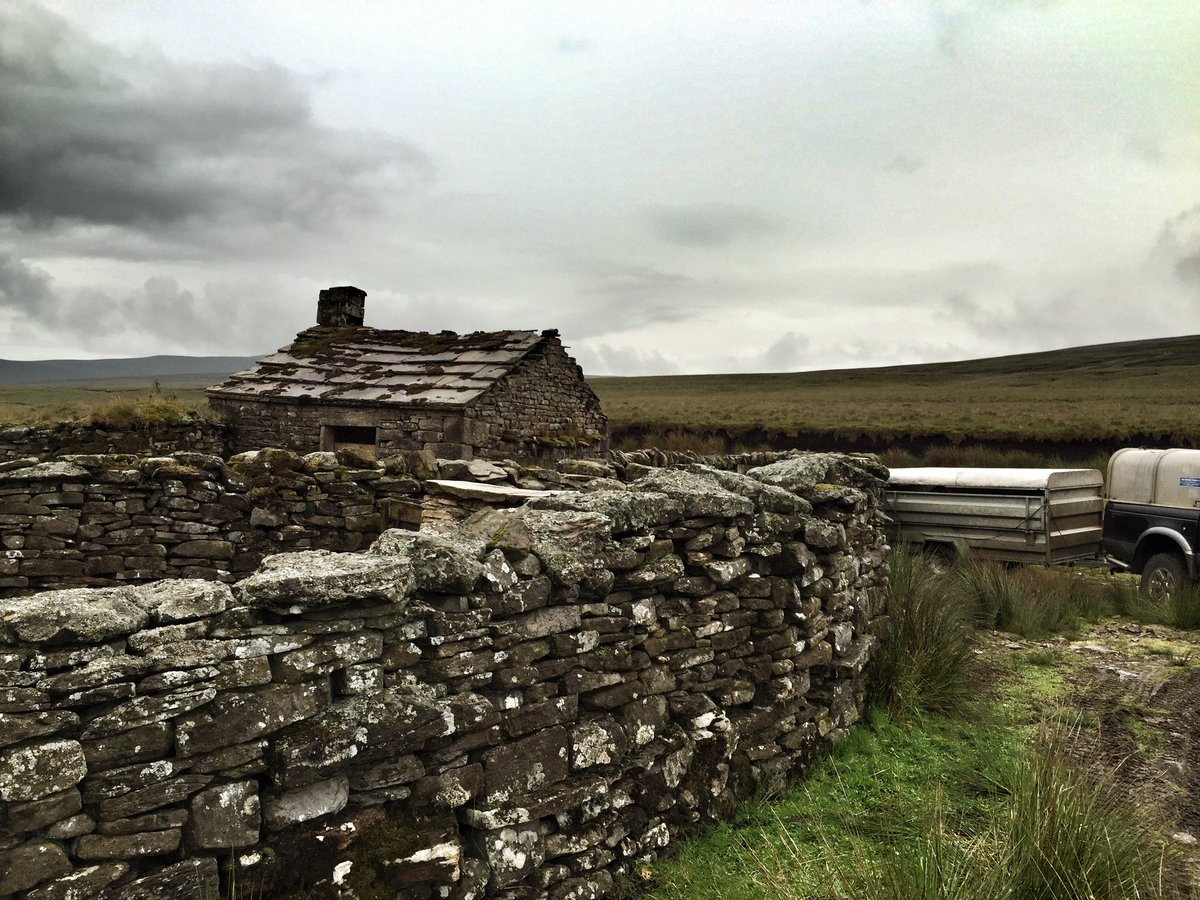 A few stray sheep to pick up.
