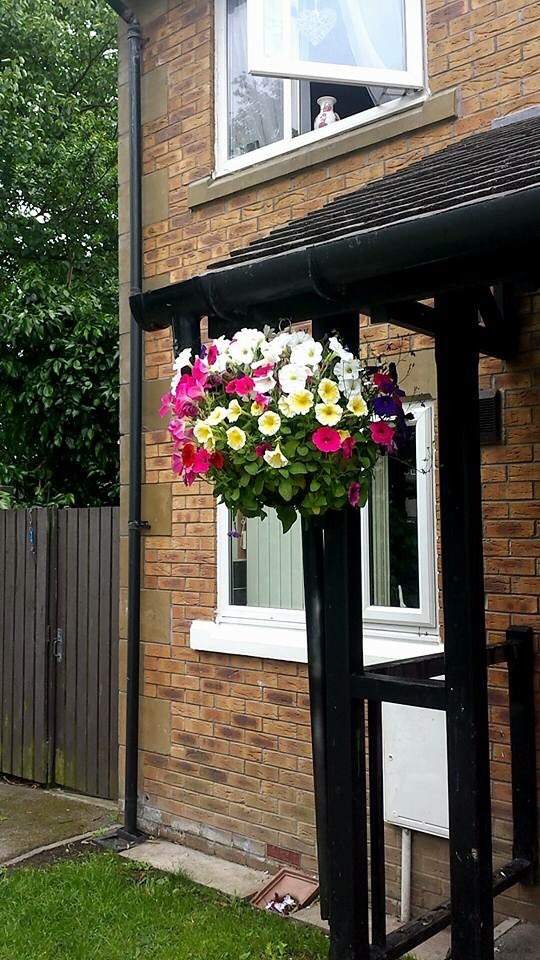 DDPSLTD's tweet photo. A few more of our #hangingbaskets £15 each or 2 for £25 #topquality #locallygrown #gardening https://t.co/cBBGBXVBce