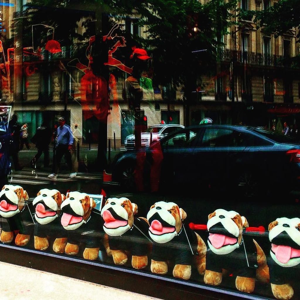 mmeouioui's tweet photo. #minishop #miniparis #instaparispics #instaparis #instagood #instadog #dogphotography #dog… https://t.co/1dtecCiQ7M https://t.co/iWf0P8meW0