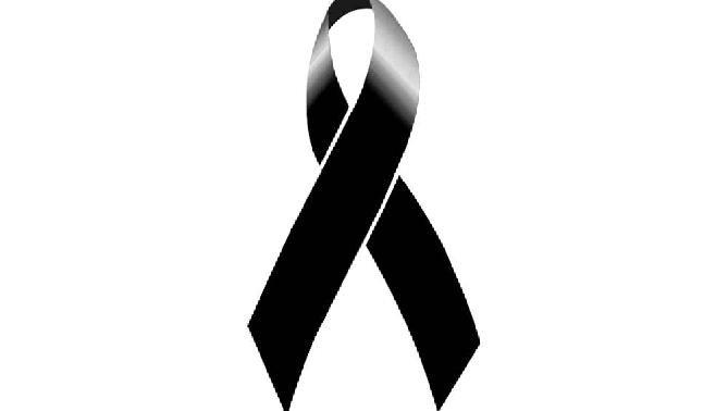 cadiz_carnaval's tweet photo. #SVGala11
Estambul
#PekinExpress13
#AguilaRoja106
#FirstDates59
#BlancayAitorEH
Juan Domínguez
Jordi Gual https://t.co/wnFvKvrOBm