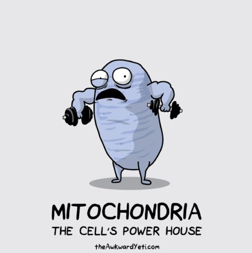 AsapSCIENCE's tweet photo. But you already knew that, right? (via @theawkwardyeti) https://t.co/NK1K49tqvo