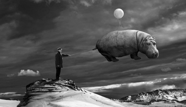 bloomreach_tm's tweet photo. Ever seen Hippos fly? You will, if you join us July 1st for the @eCommerceOPEN in Munich: https://t.co/BgGyDPdopy https://t.co/mPetaxlFR0