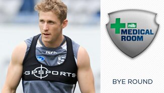 _Geelongcats_'s tweet photo. Scott Selwood's comeback  to VFL
https://t.co/ISqxMJImkG https://t.co/UERjdd6YvZ