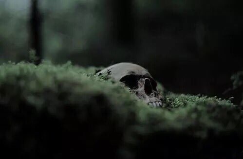 aesthetic_hell's tweet photo. it didn't hurt to go https://t.co/TWhljhe72M