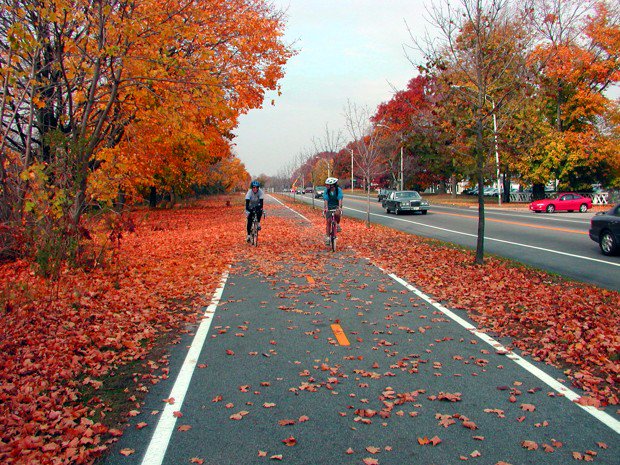 CityLab's tweet photo. Building a bike path for the entire East Coast https://t.co/PmL8JOea4J https://t.co/hBrlaDmBSF