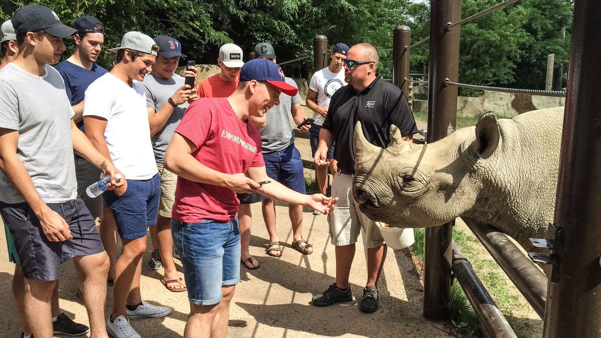 Columbus Blue Jackets tweet media