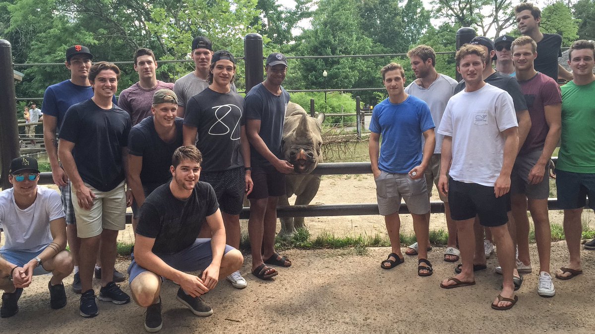 Columbus Blue Jackets tweet media